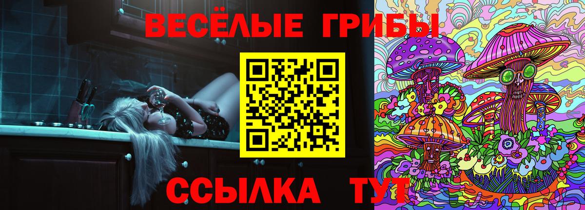 Галлюциногенные грибы MAGIC MUSHROOMS  Вход с VPN  Сатка 